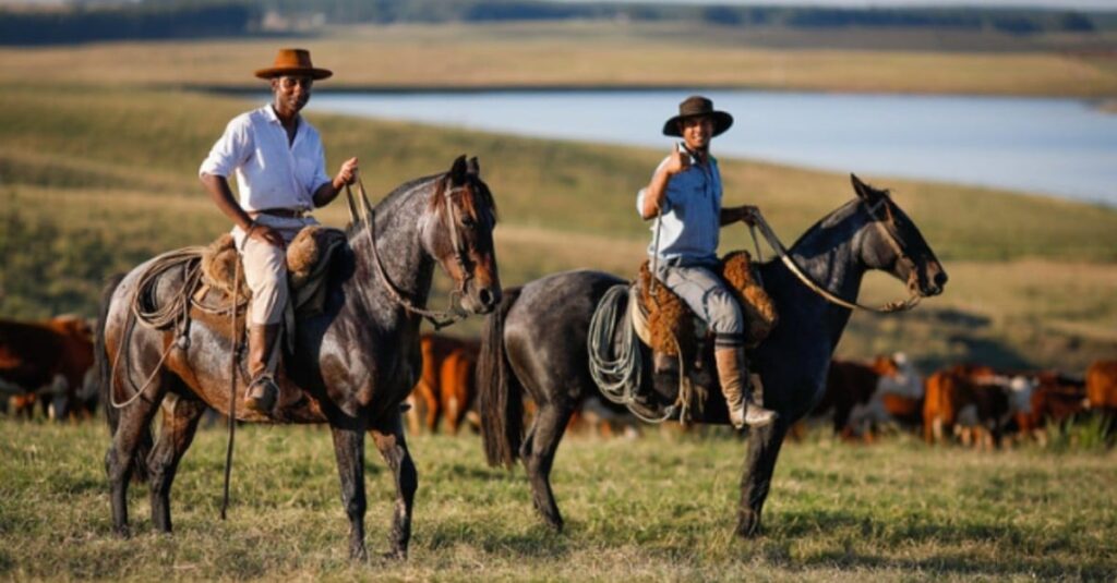 Protocolo 5.3.9: saiba como esses números transformam a gestão de pessoas na fazenda