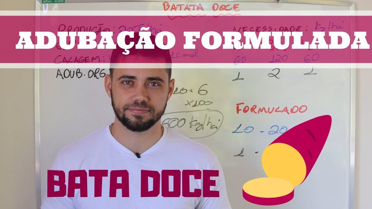 Guia completo de adubação para a batata doce