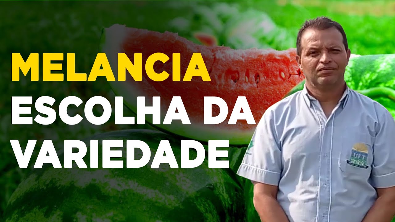 Guia da Melancia Perfeita