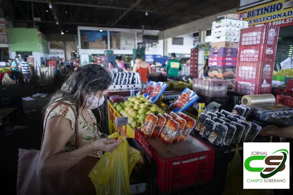 Guia para Primeira Visita: Como Comprar Frutas no Ceasa Guia para Primeira Visita: Como Comprar Frutas no Ceasa