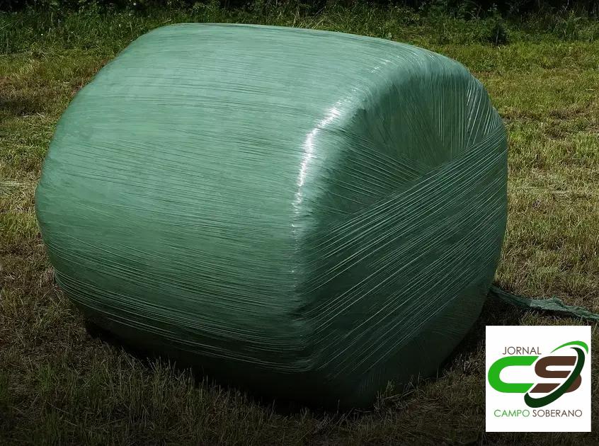 Impacto dos Inoculantes na Estabilidade e Conservação da Silagem