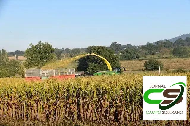 Impacto dos Inoculantes na Redução de Perdas Durante o Armazenamento