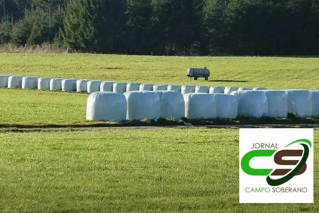 Impacto Financeiro na Gestão de Pastagens Impacto Financeiro na Gestão de Pastagens