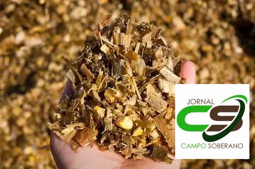 Impacto na Nutrição Animal