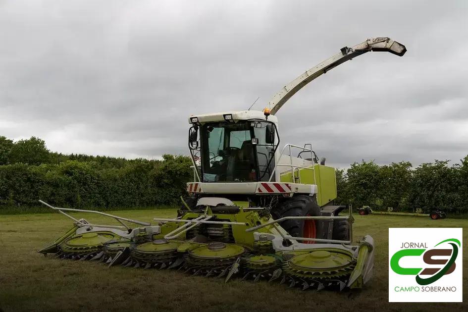 Impacto na Produtividade Anual da Pastagem