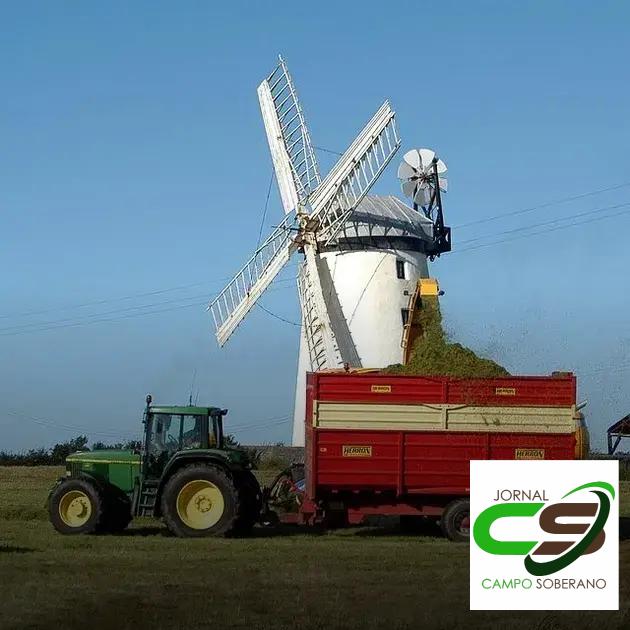 Impacto Positivo da Alimentação a Pasto na Saúde e Bem-Estar das Vacas