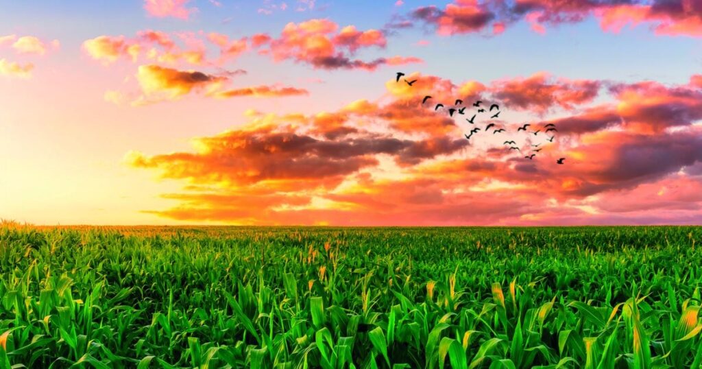 inovacao no estadao 1