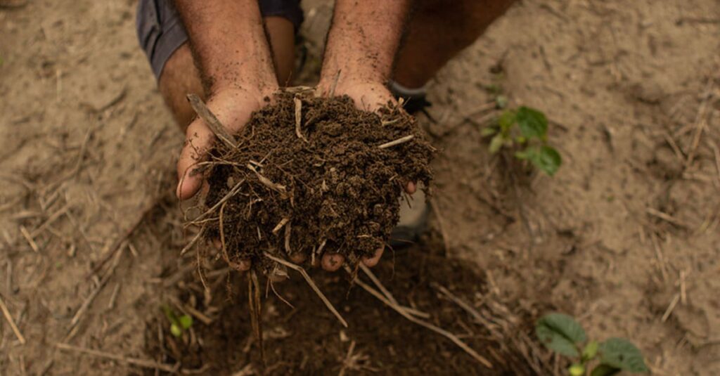 Investigação global sobre serviços do solo 7 estudo internacional avalia serviços ecossistêmicos do solo