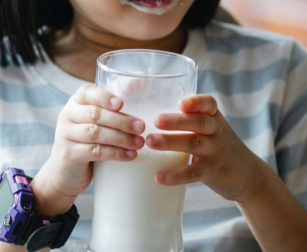 leite integral de volta 1