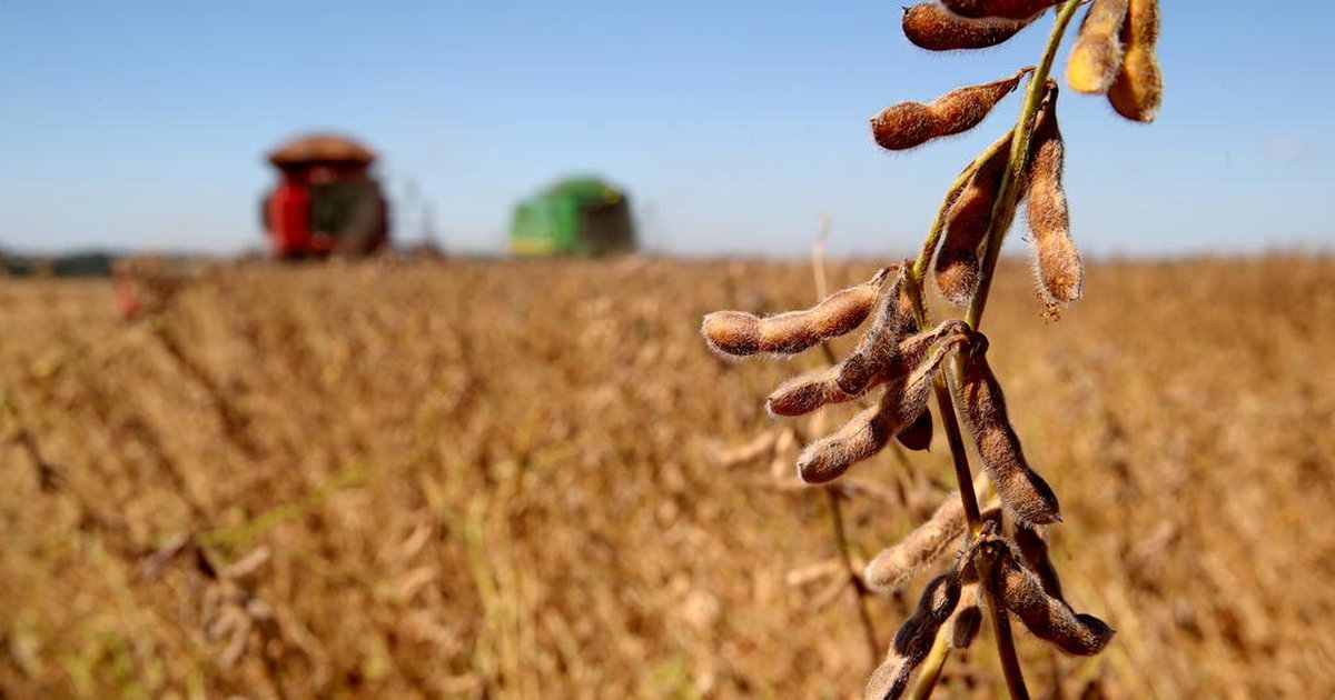 Leite pode impactar agricultura com corte de benefícios fiscais