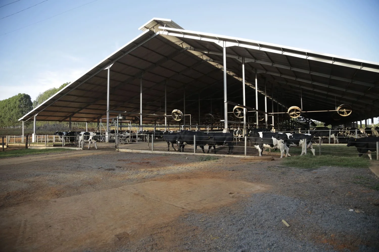 Lucro na produção de leite: é possível? 20 Produção de leite é uma atividade lucrativa?