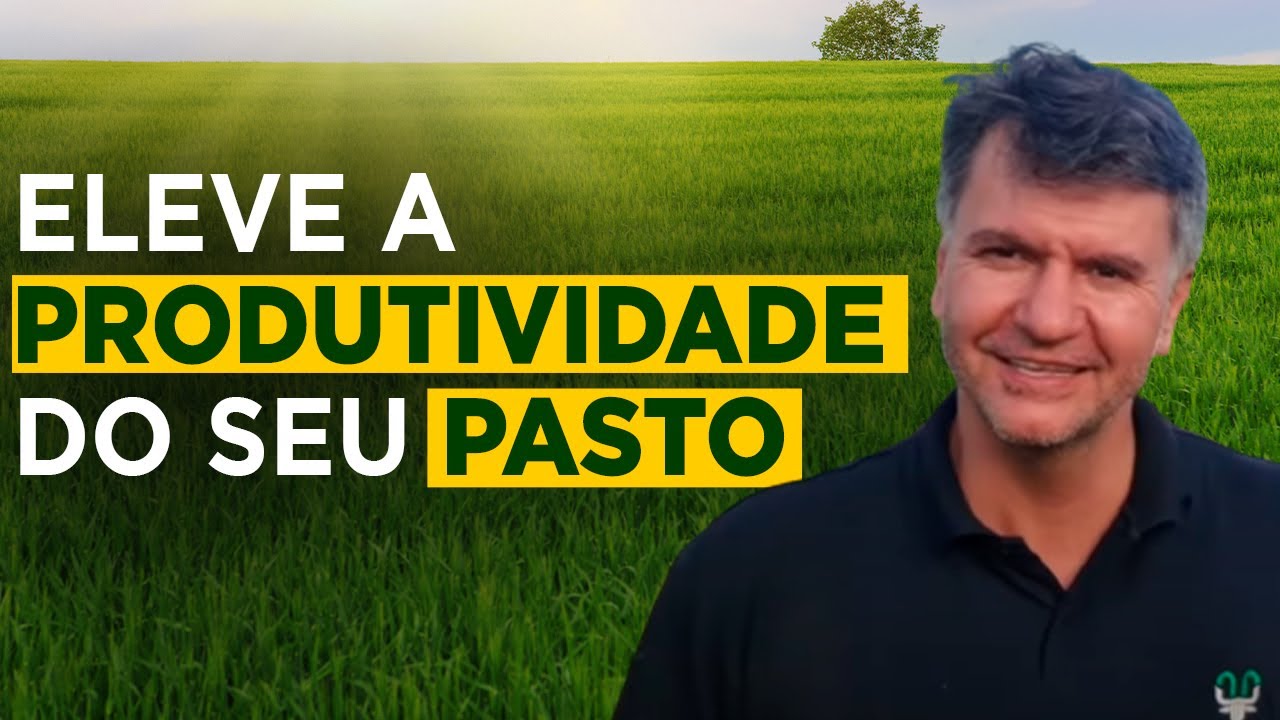 manejo eficiente da pastagem com joel pinheiro
