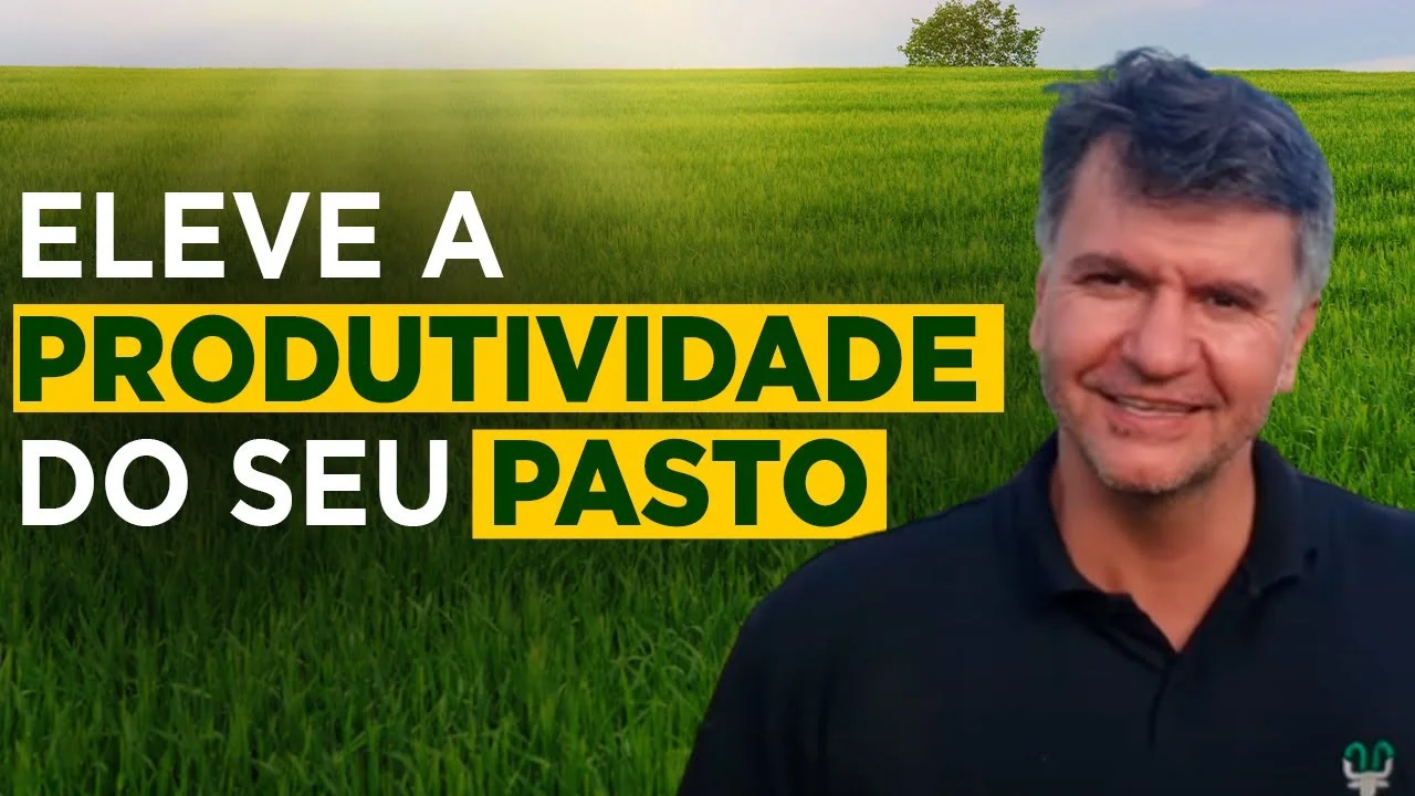 manejo eficiente da pastagem com joel pinheiro