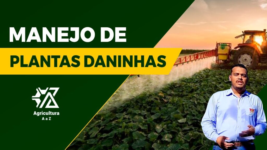 manejo integrado de plantas daninhas guia completo com kassio mendes