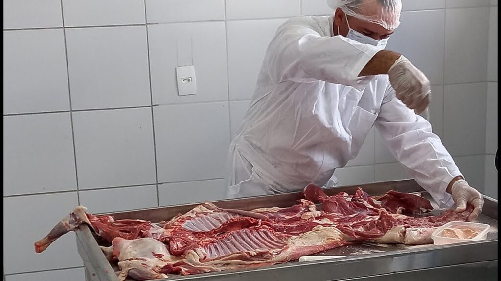 manta de carneiro dos inhamuns boas praticas