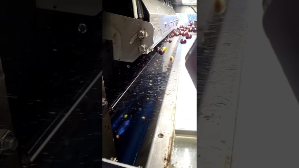 maquina cafe cereja eletronica