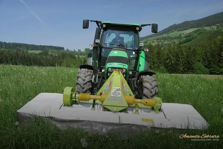 Maximizando a Qualidade da Silagem Através de Técnicas Eficientes