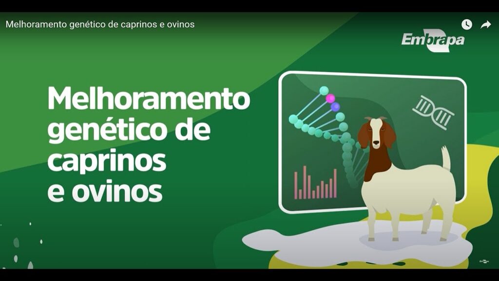 melhoramento genetico de caprinos e ovinos