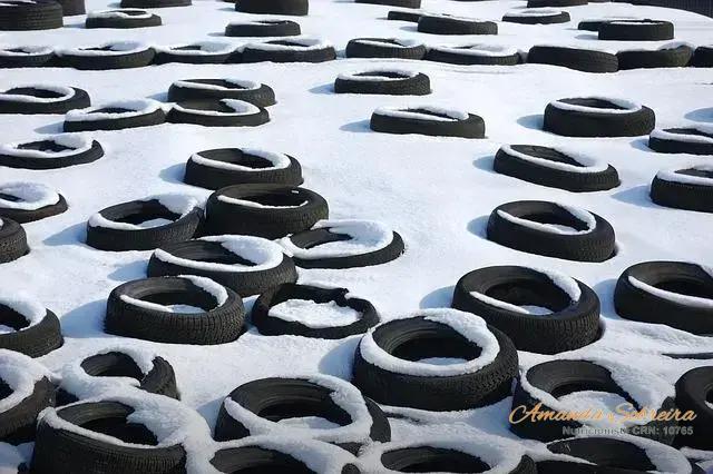 Melhores Práticas para Armazenamento e Manejo de Silagem