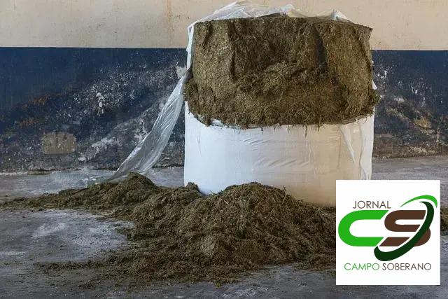 Melhoria na Competitividade com Outras Culturas