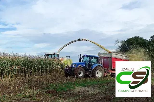 Melhoria na Qualidade Nutricional com Inoculantes Melhoria na Qualidade Nutricional com Inoculantes