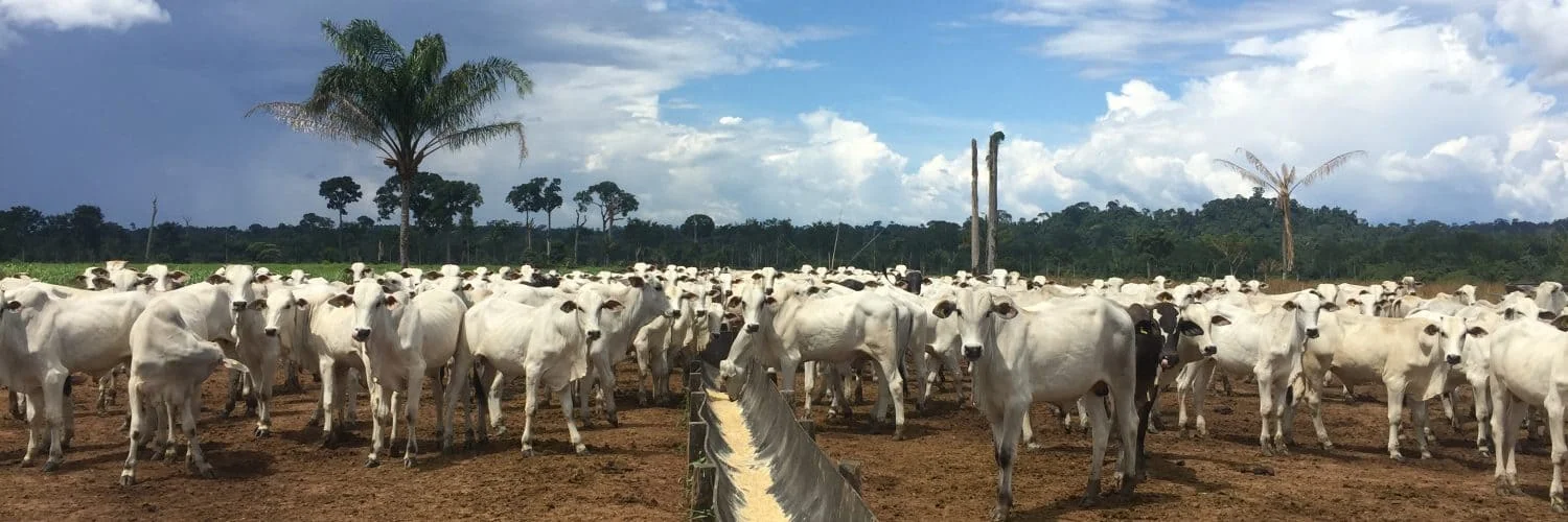 Mexe o Cocho: Importância 23 Facebook