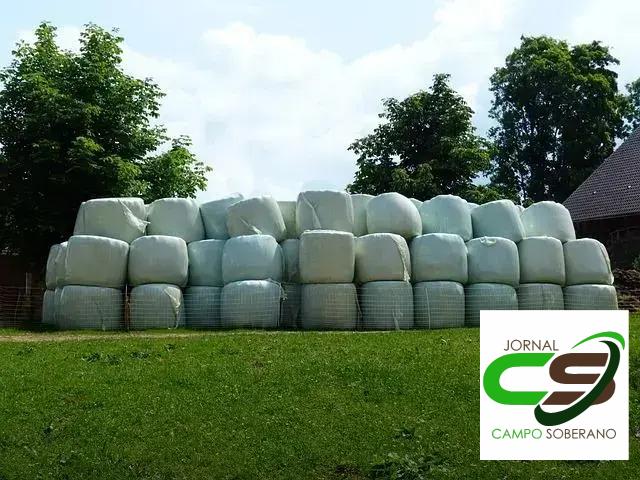 Monitoramento do Consumo