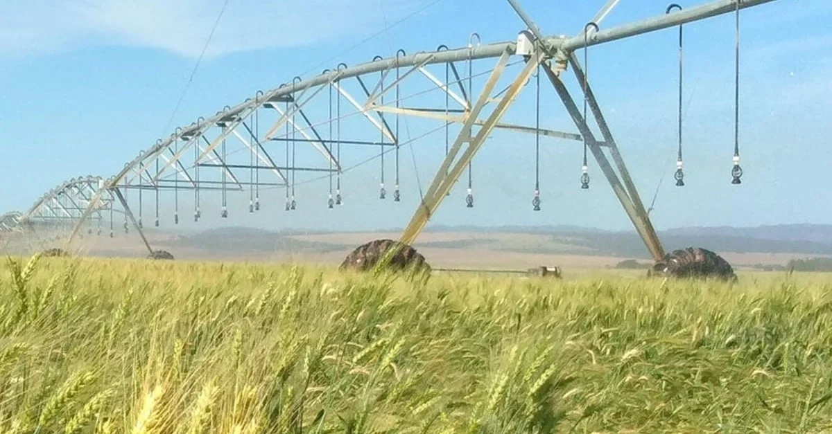 Novo Zoneamento Agrícola define cultivo de cereais de inverno