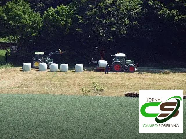 Nutrição para Ganho de Peso