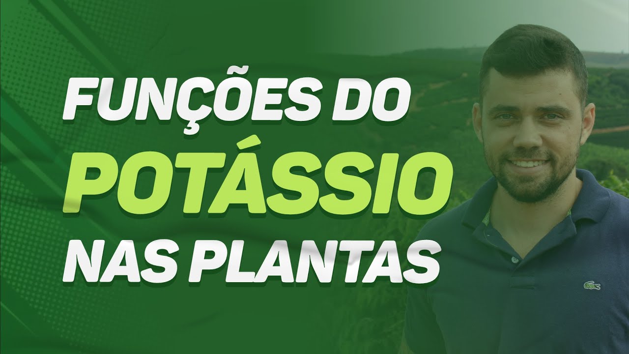 o papel crucial do potassio nas plantas