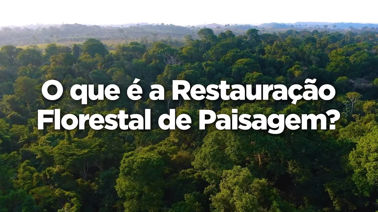 o que e a restauracao florestal de paisagem