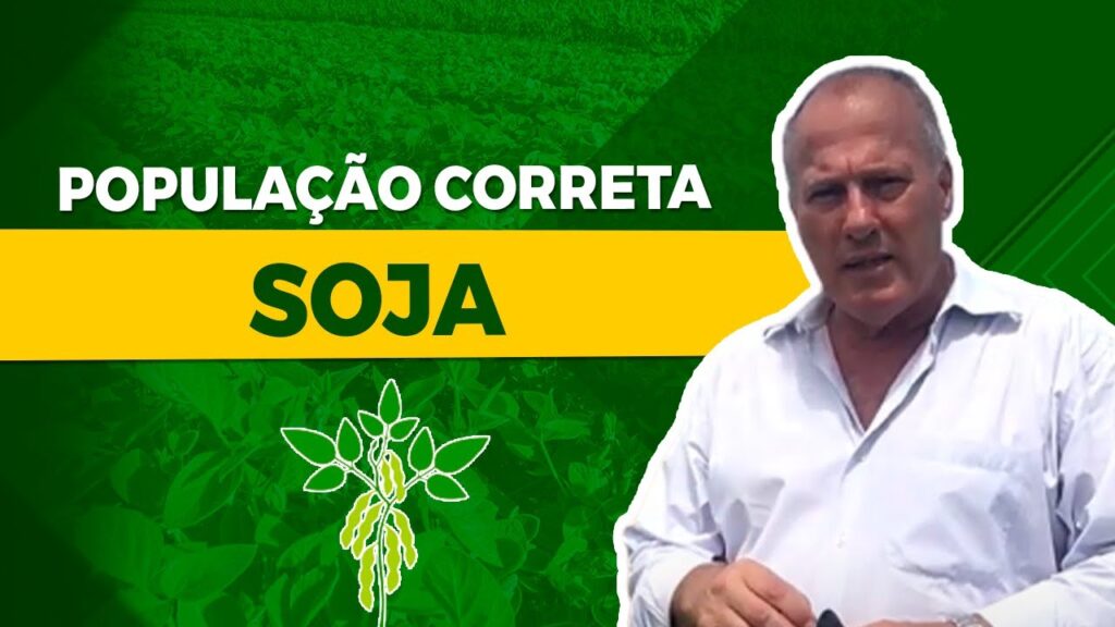 o segredo da cultura de soja com gil camara