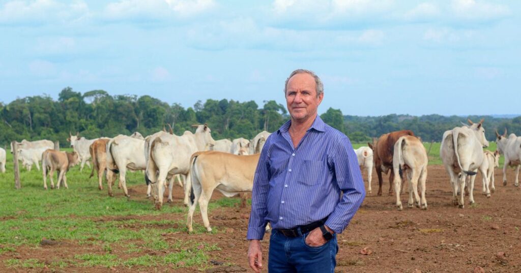 ondas de calor impactam pecuaria e avicultura 1