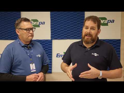 orientacoes apos a deteccao do virus da gripe aviaria no brasil