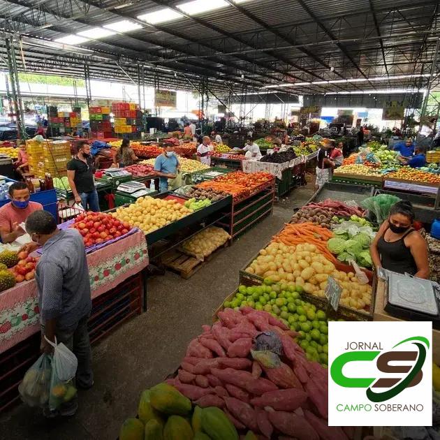 Os Segredos para Encontrar Produtos de Qualidade na Feira Ceasa SP