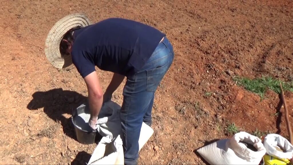 panc preparo do solo