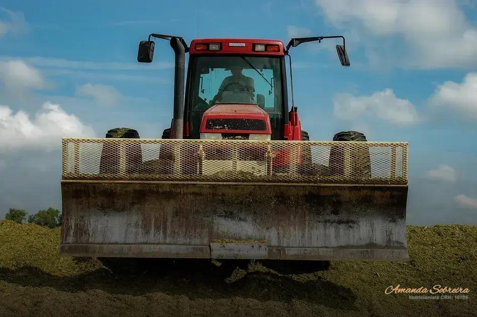 Passo a Passo para Produção de Silagem de Qualidade Agroecológica 