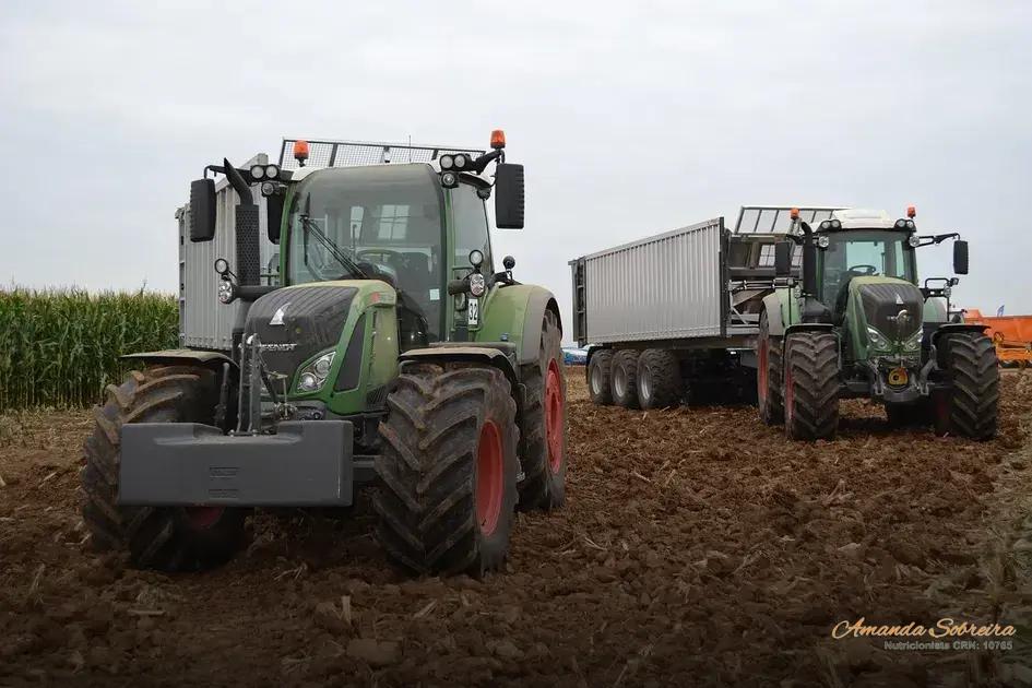 Passo a Passo para Produzir Silagem de Alta Qualidade Passo a Passo para Produzir Silagem de Alta Qualidade