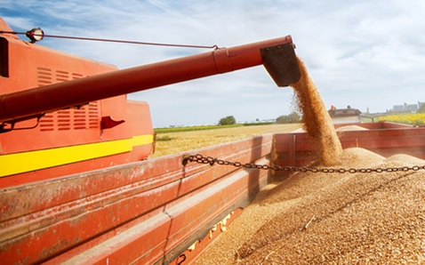 preço futuro da soja