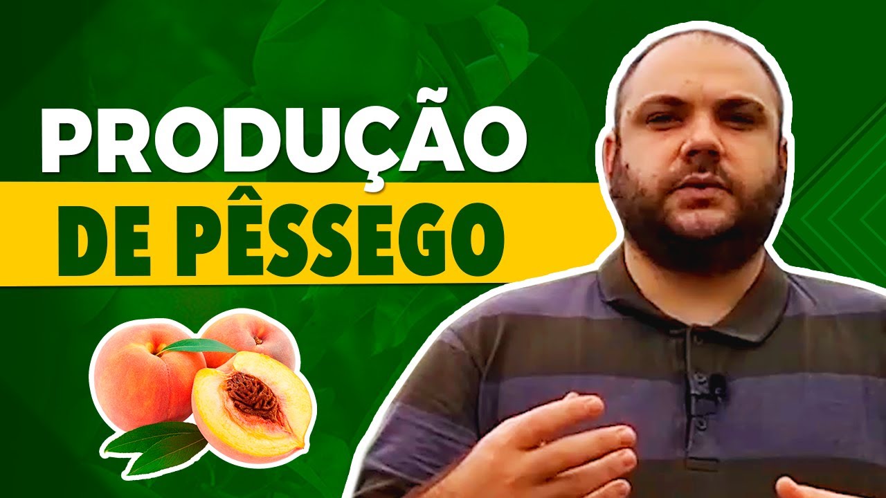 Pêssegos: Os Segredos da Produção com Gener Penso