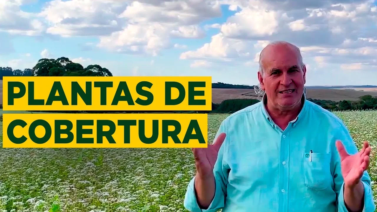 plantas de cobertura essenciais