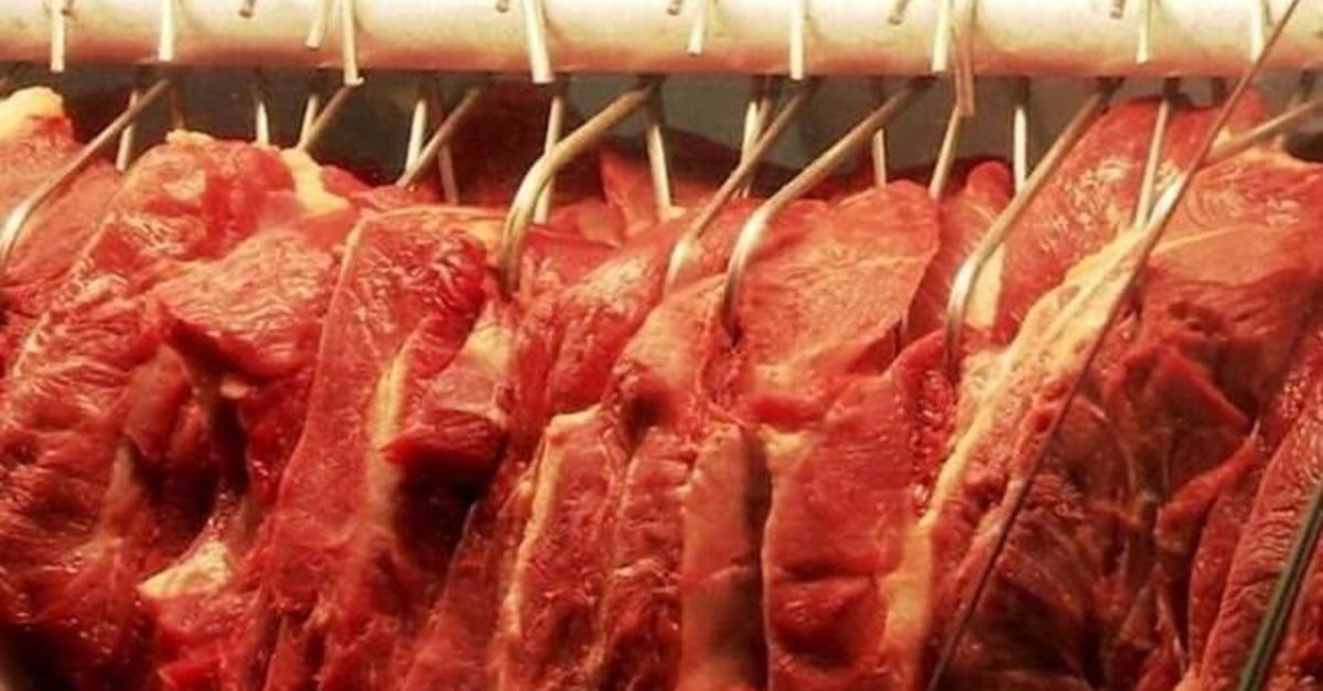 Plena Alimentos investe em logística de ponta 15 consumo de carne bovina e de frango deve aumentar em 2024