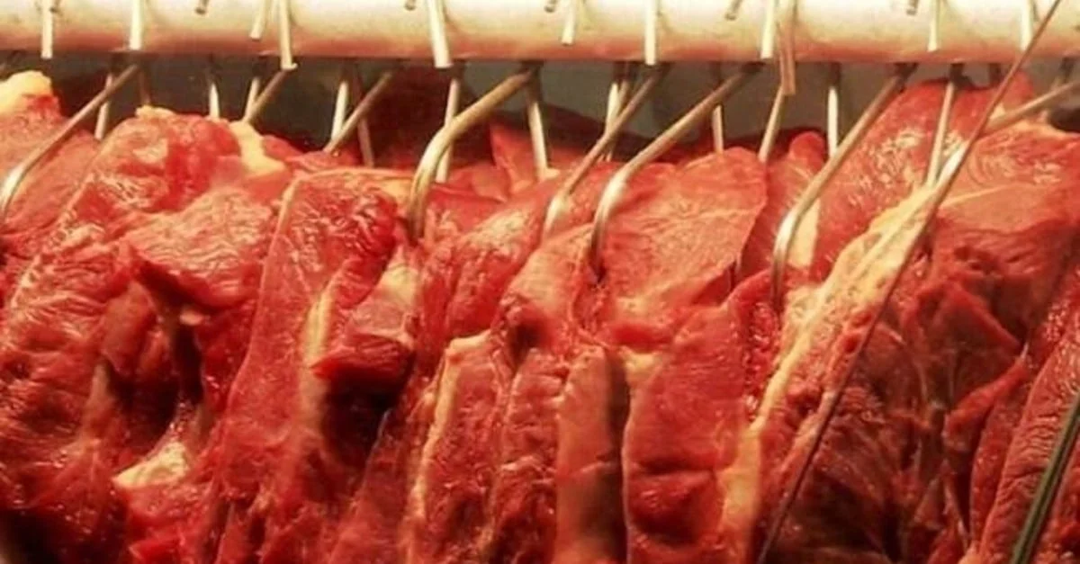 consumo de carne bovina e de frango deve aumentar em 2024