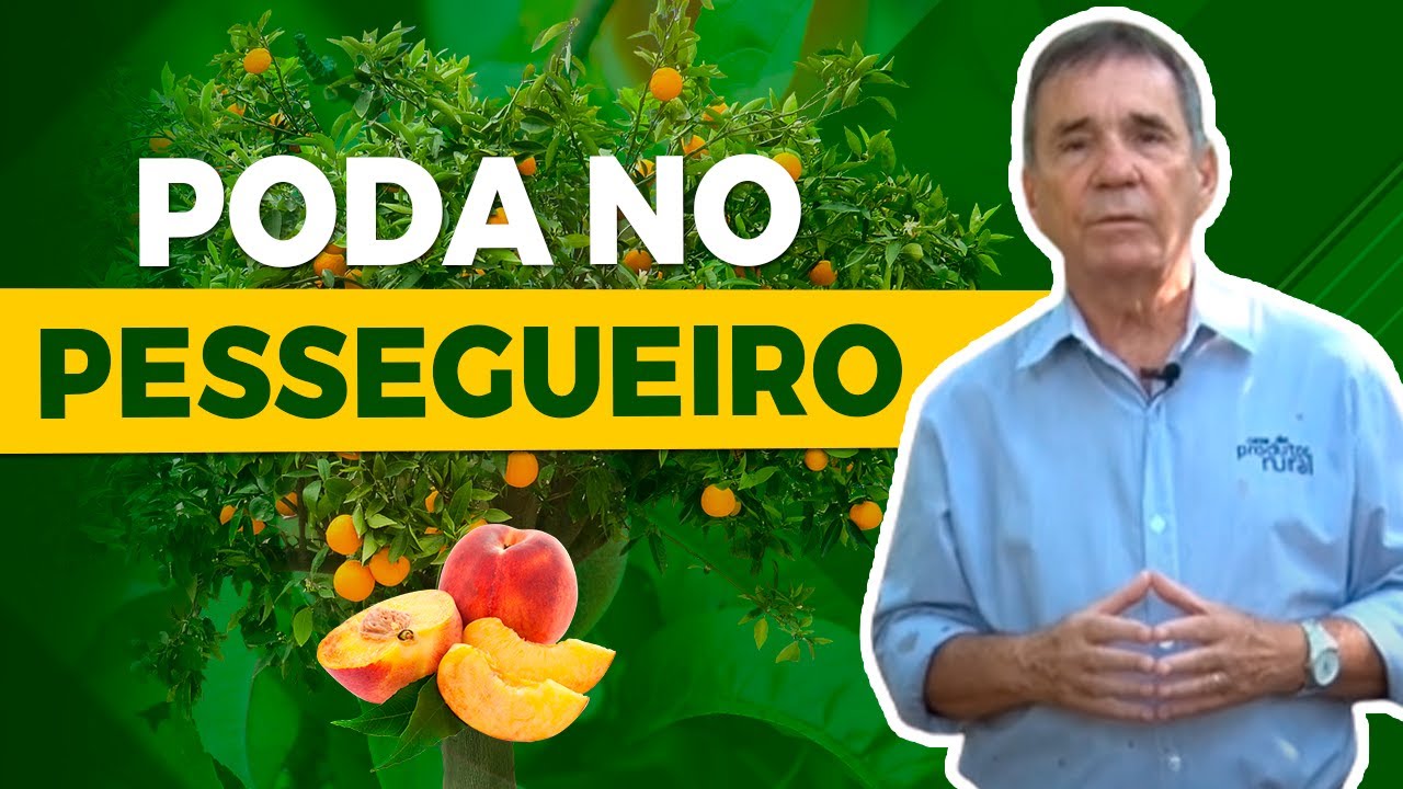 Podar Pessegueiro: Dicas do Dr. Scarpare