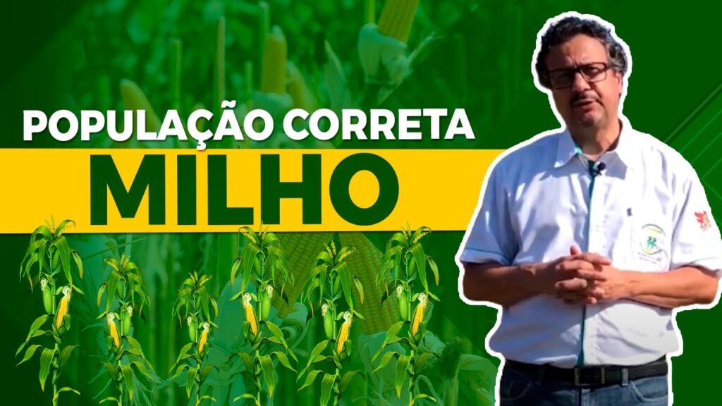 populacao ideal de milho prof joao carlos galvao