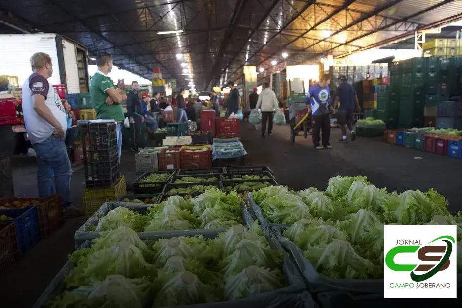 Por que a Polpa de Fruta do Ceasa DF é uma Escolha Saudável Por que a Polpa de Fruta do Ceasa DF é uma Escolha Saudável