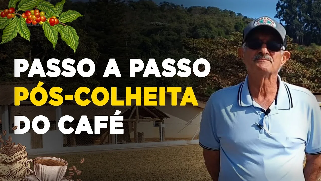 Pós-Colheita do Café: Guia Prático 9 pos colheita do cafe guia pratico
