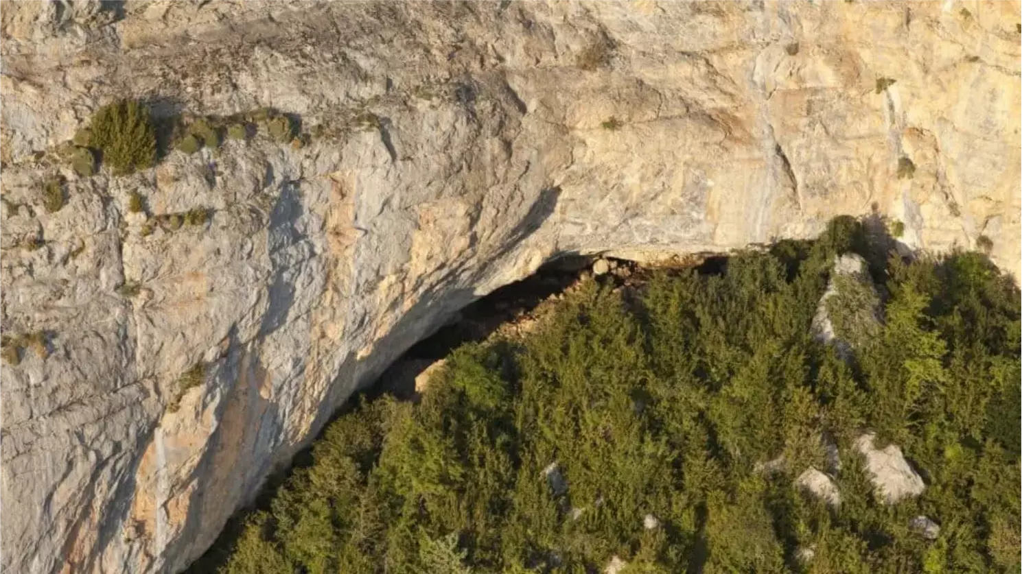 Povos neolíticos: Pecuária e agricultura