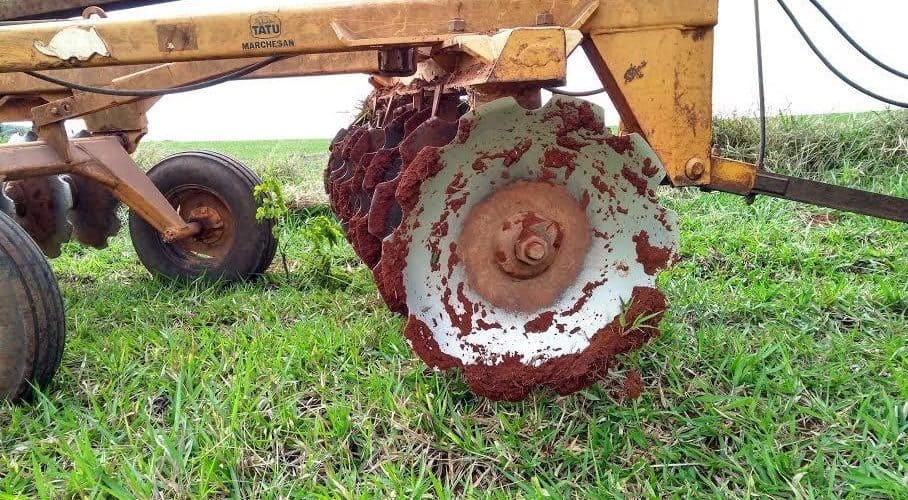 Pré-plantio do café: etapas essenciais