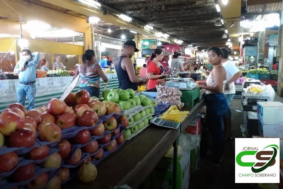 Preço do Tomate na CEASA: Entenda a Variação Sazonal